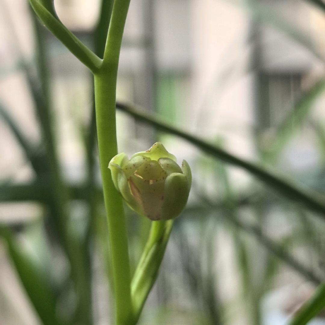 熙熙