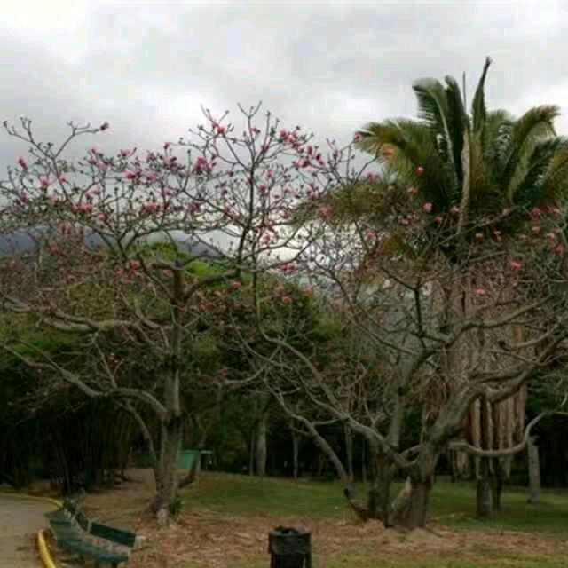 用户7286282627255平凡人生