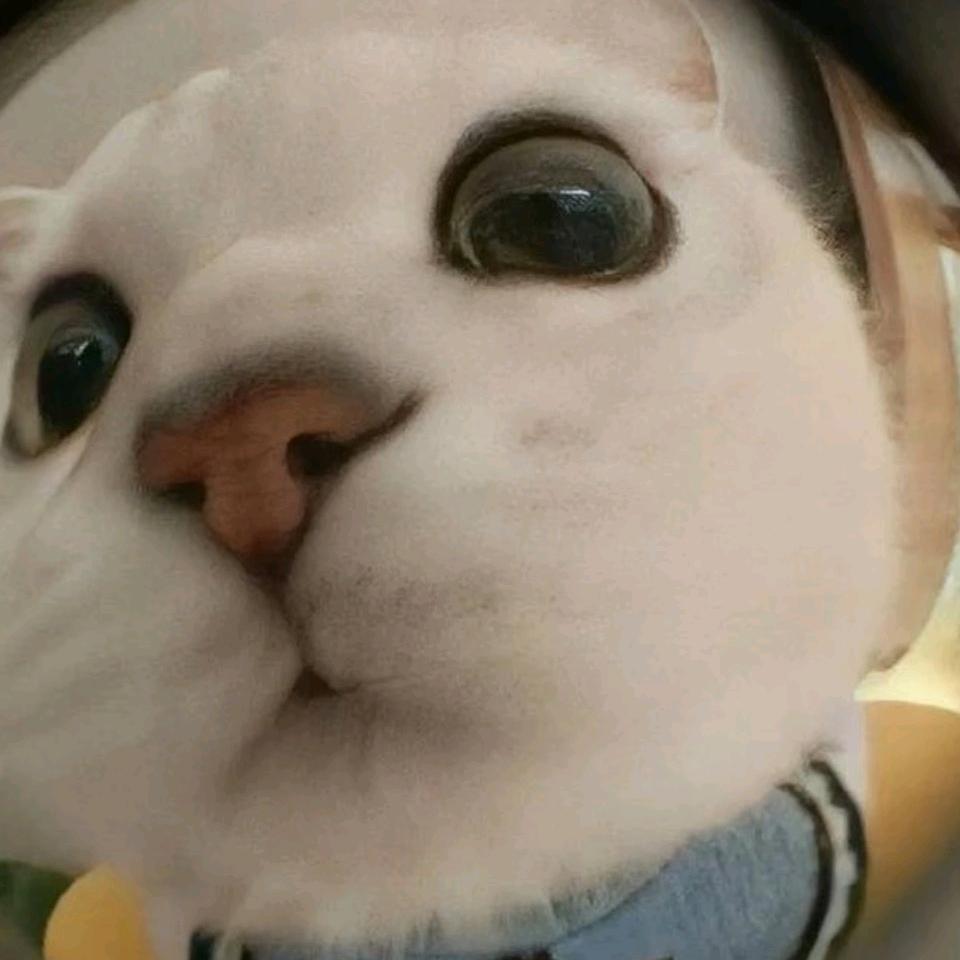 恅嗨·XK（经典海岛）