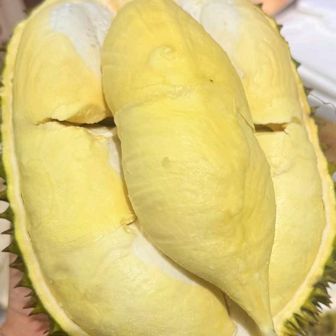 果 鲜 森