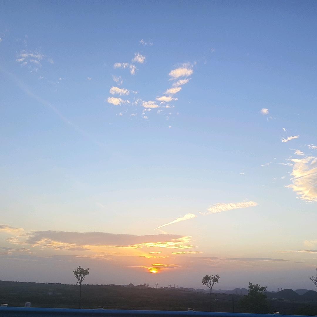 逆行司机