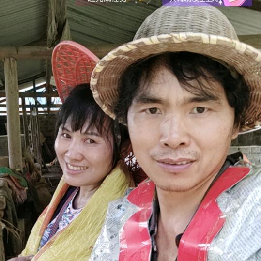 蜂哥蜂嫂古方