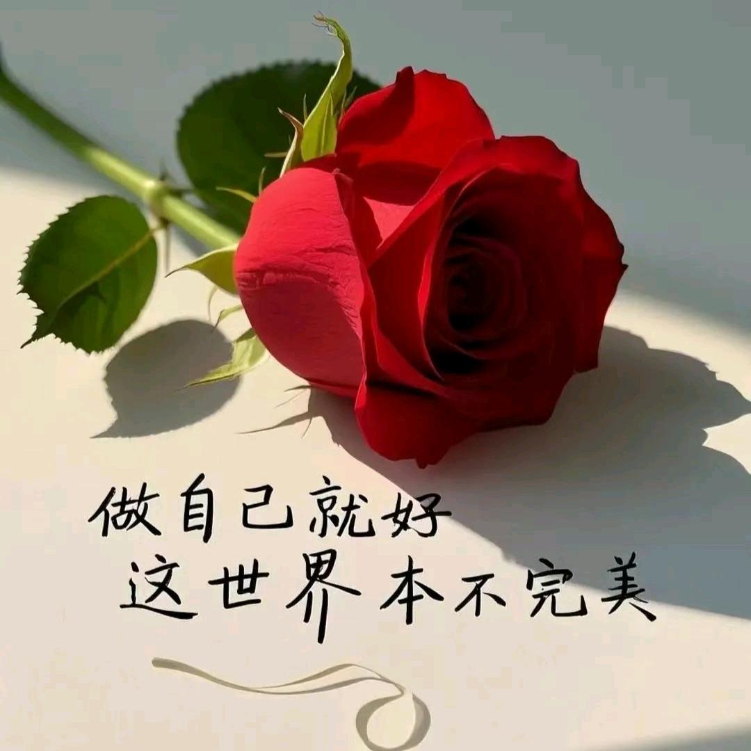 浮生如梦
