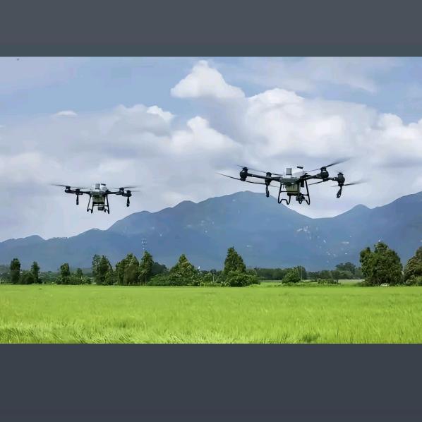 凤阳植保无人机Mr.黄