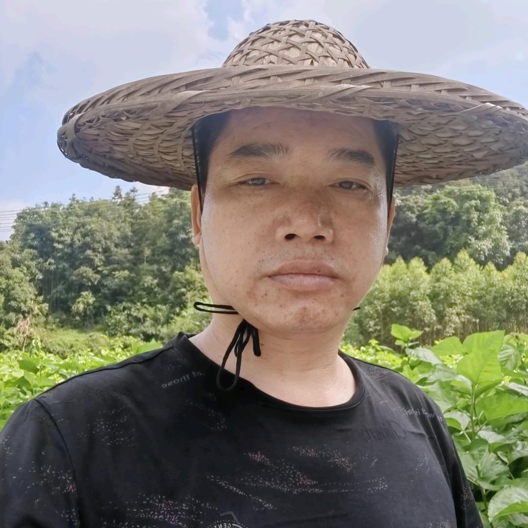 农村伟歌