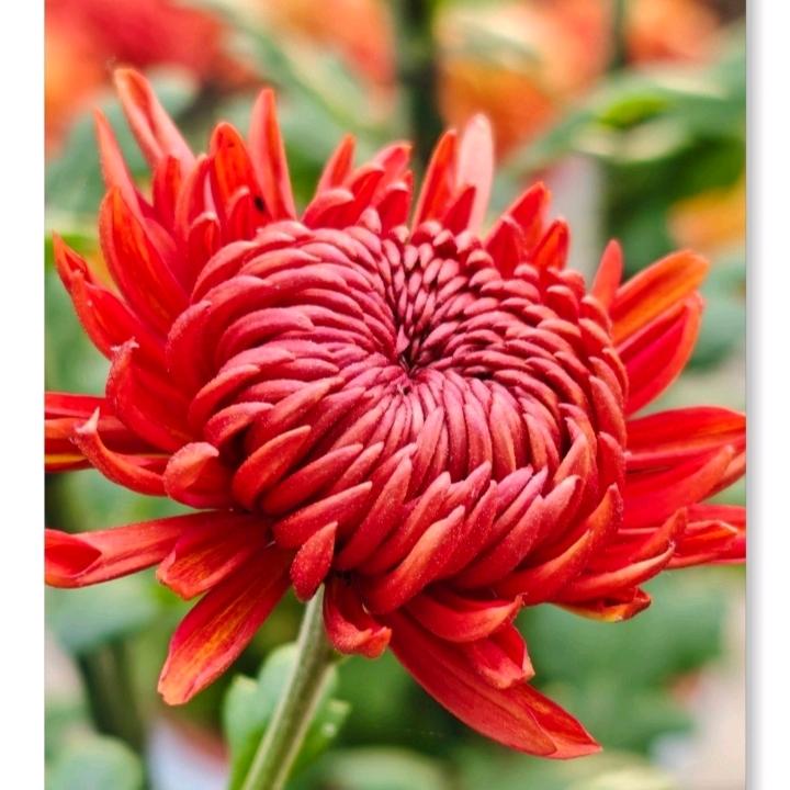 🦋এ᭄善待ꦿ自💔己ོ࿐ᩚ