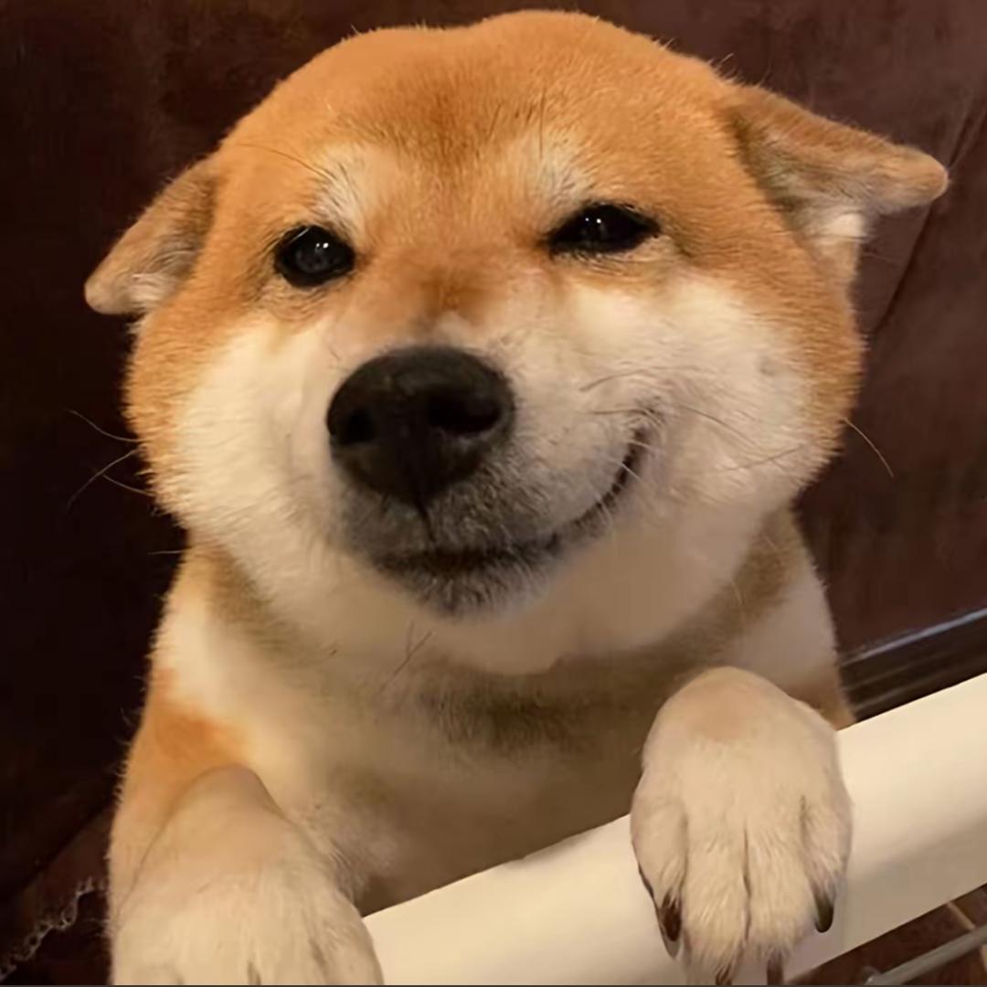 愿念     ༽