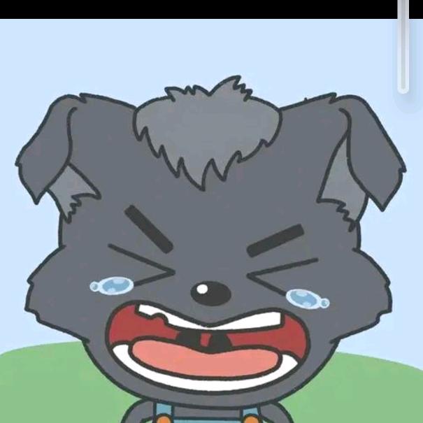 聂天阳，聂天晴。