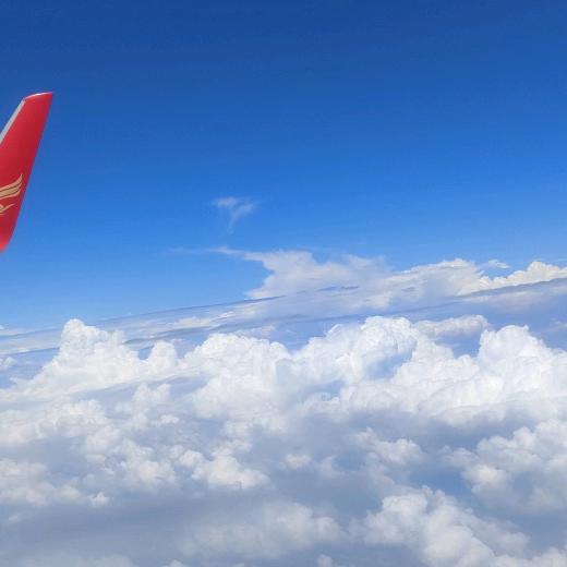 ꧁꫞啊德哥农产品꫞꧂