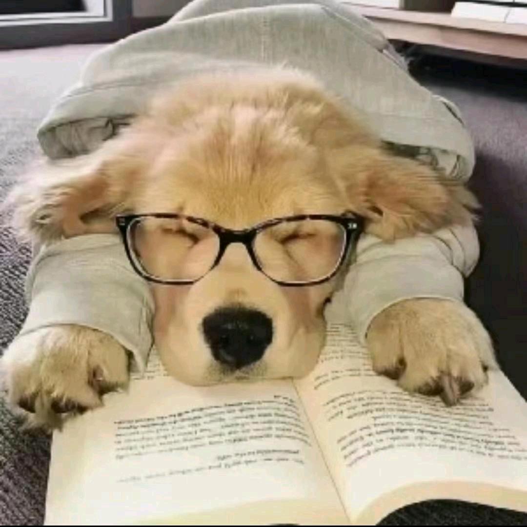 李李某人吧