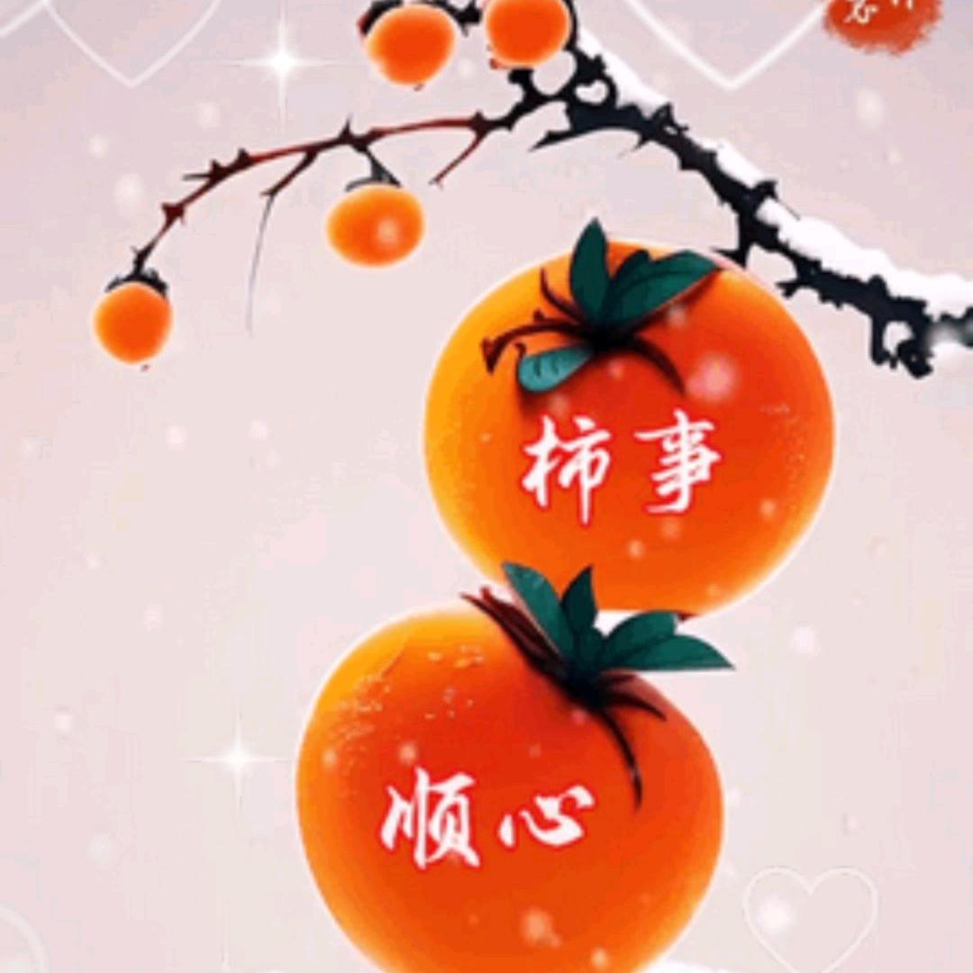 ✨今夜🌛星辰似你✨