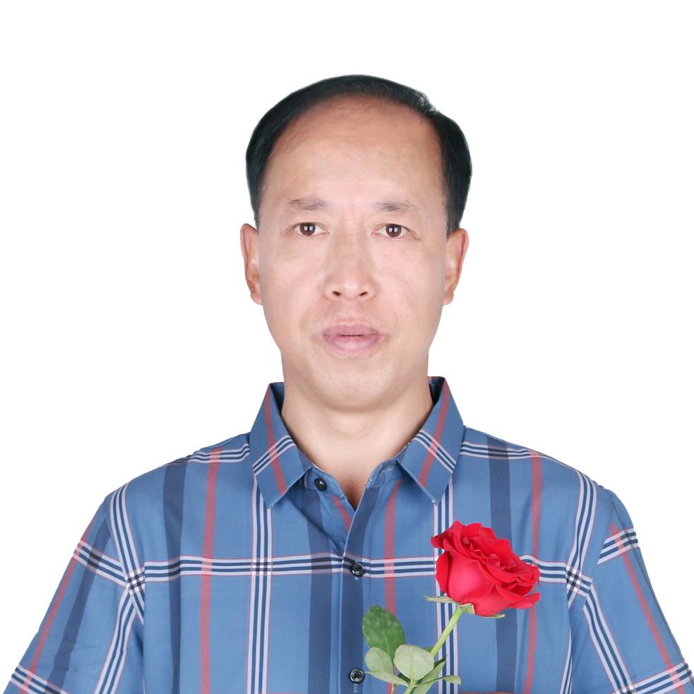航哥绿植