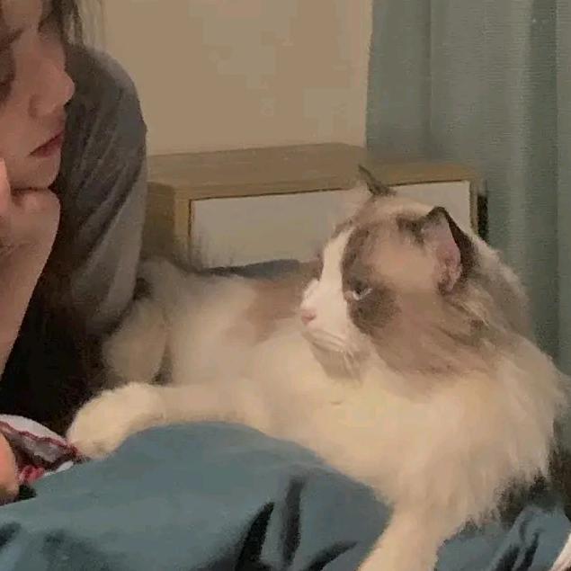 Zz♡