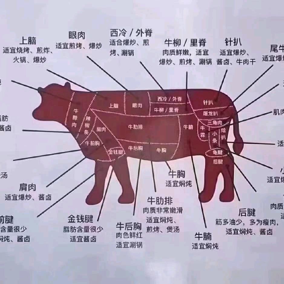 贵阳生鲜牛肉批发零售
