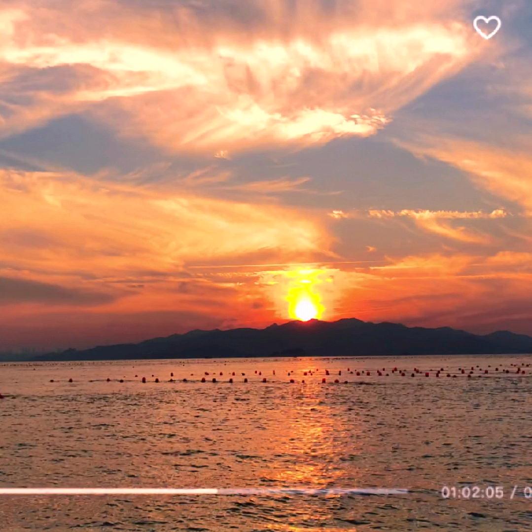 贝壳海钓—小猫钓鱼v