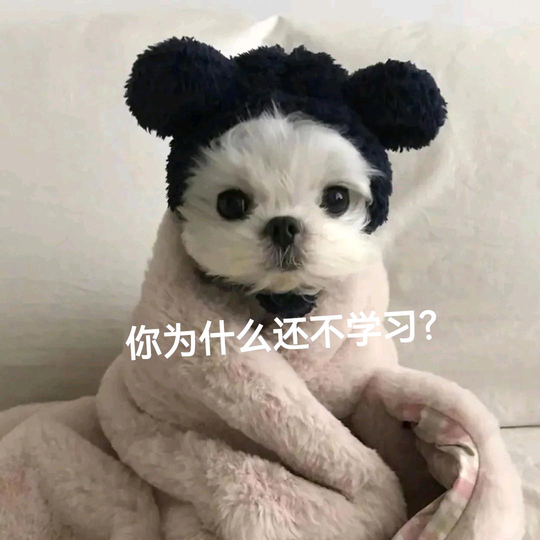 冲鸭（学习版）