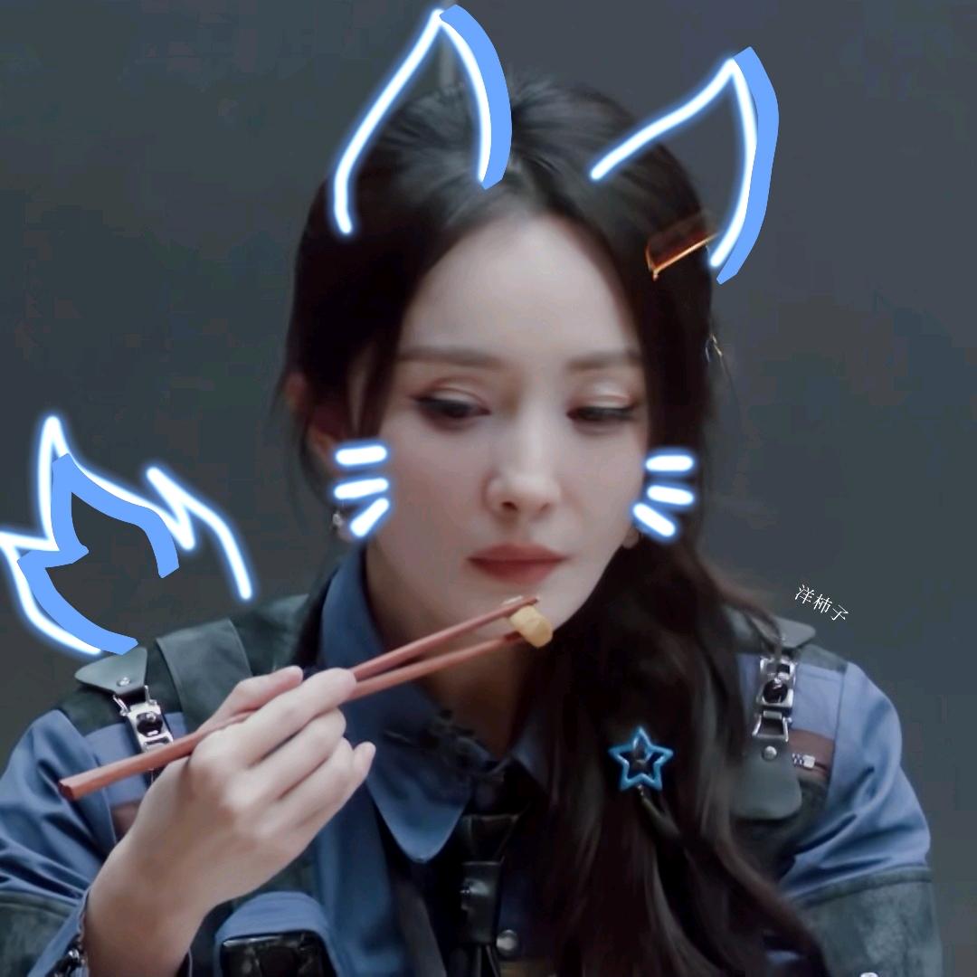 洋柿子soy