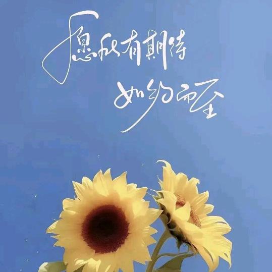 甜心百货🌻