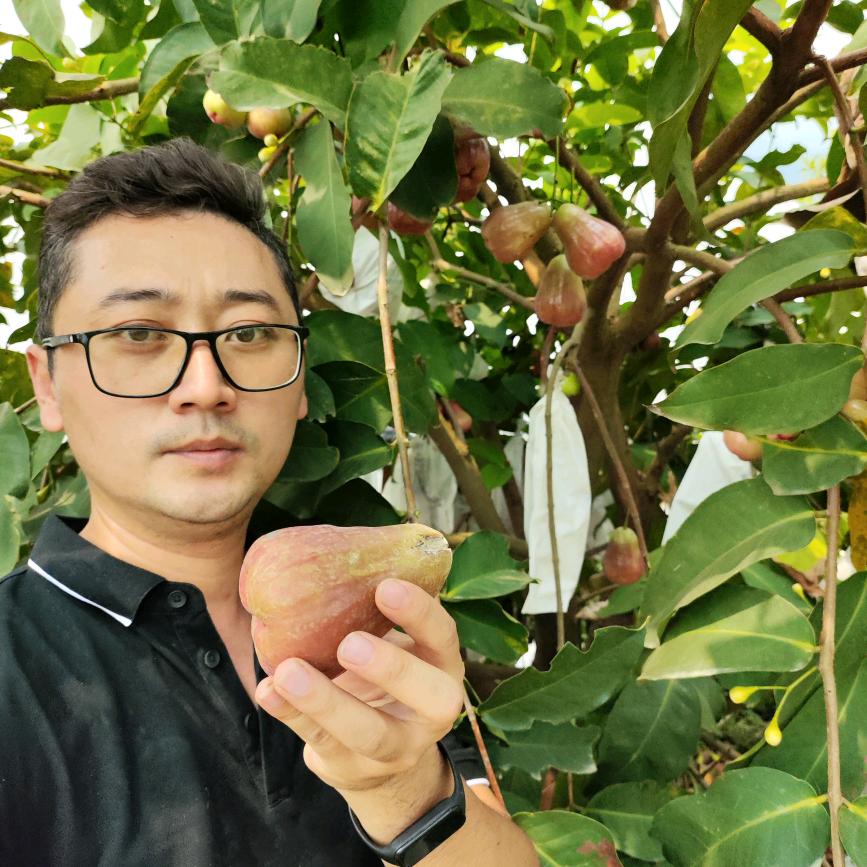 甜咪西【疆疆疆】