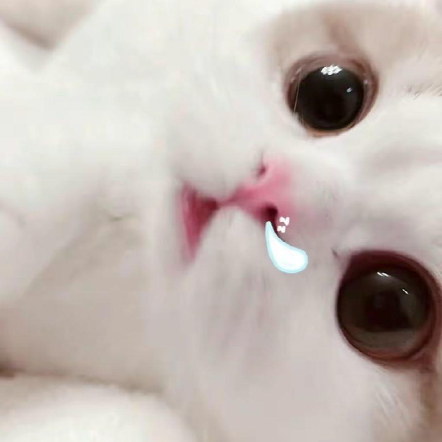 👑涵曦
