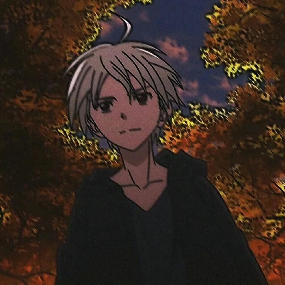 朴哨