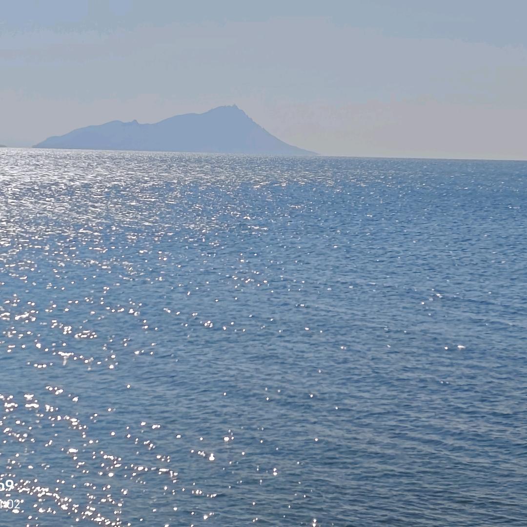 大海