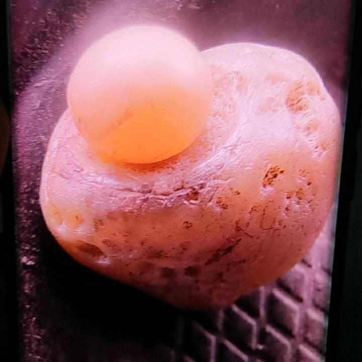 为公平而奋斗