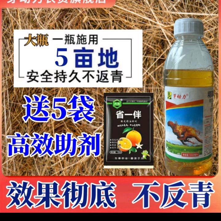 精草铵膦铵盐 玉米除草剂 菌立清