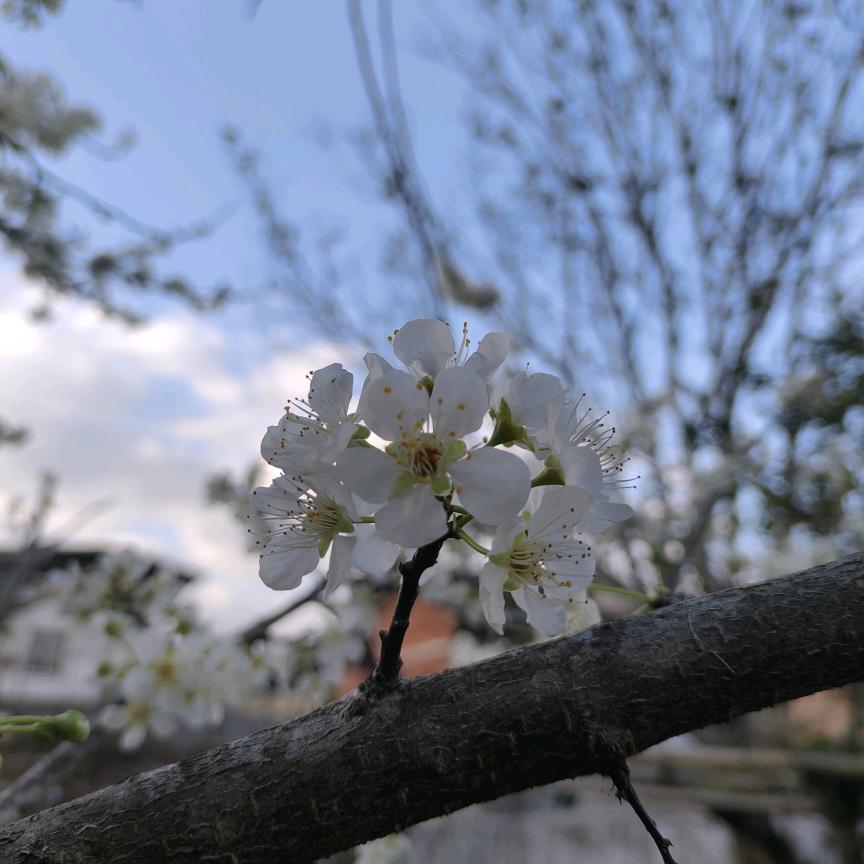 晓晓物语
