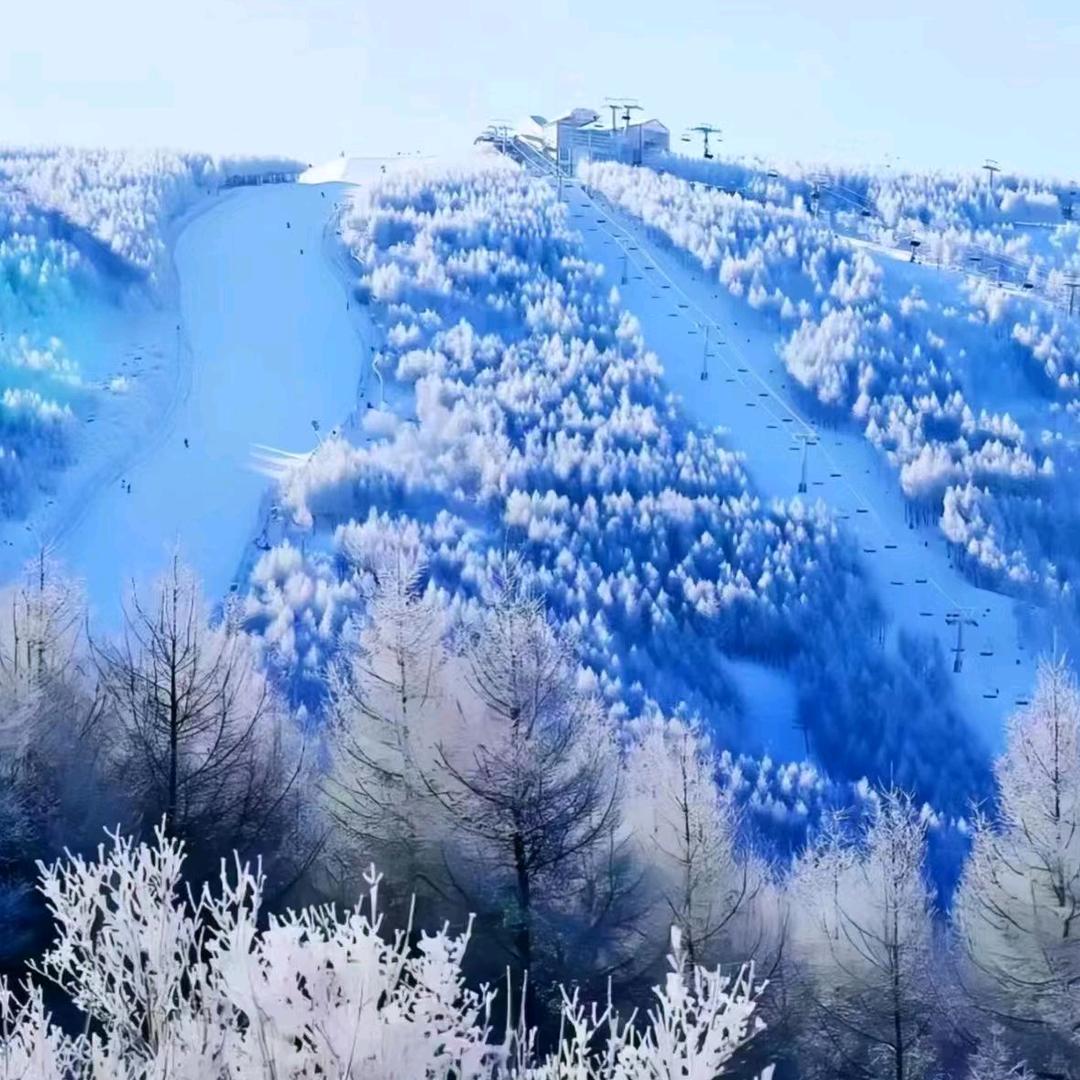 楠楠爱旅行