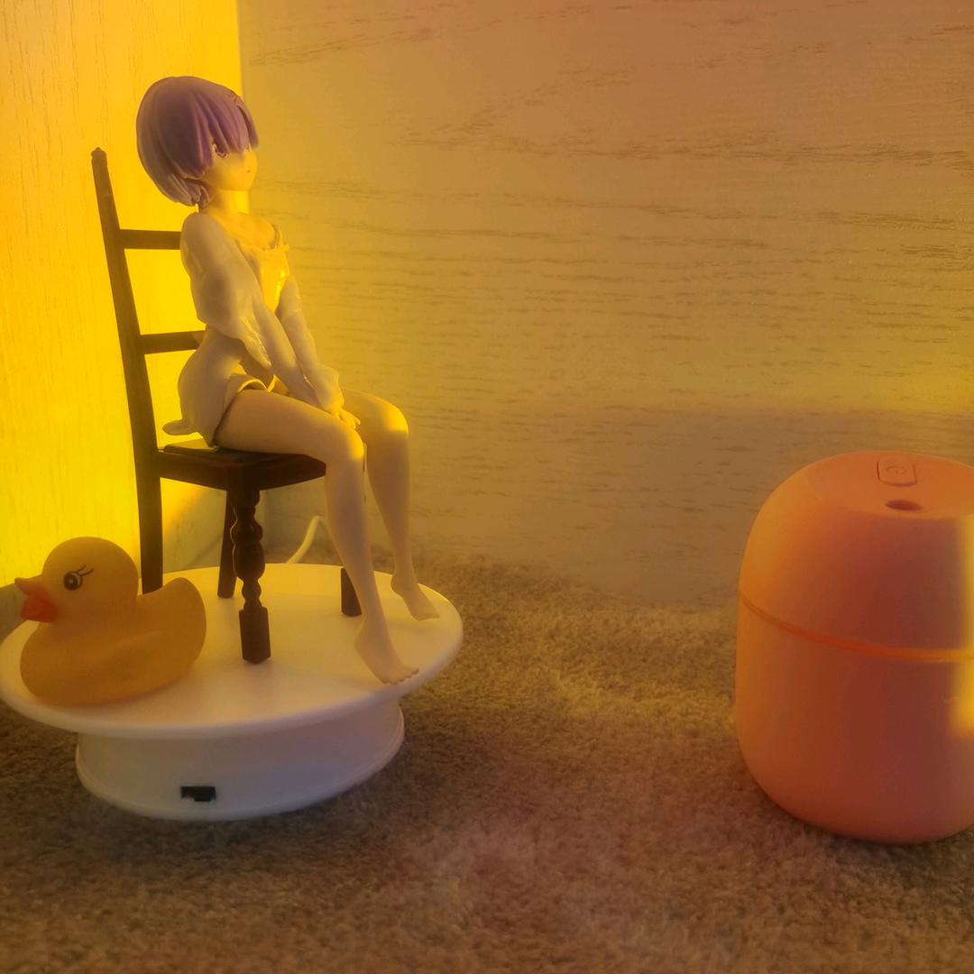 胖胖