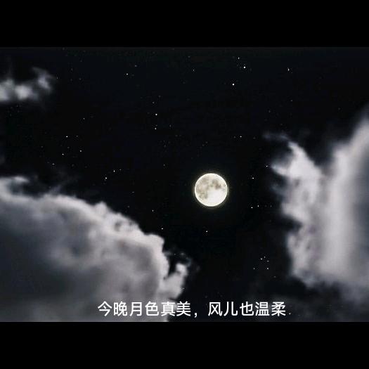 红鱼儿头像
