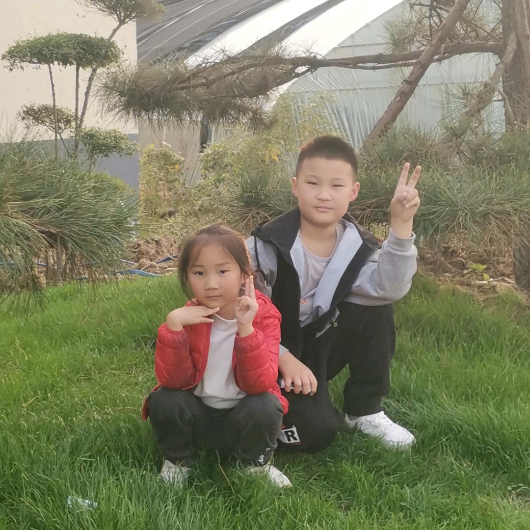 春天的阳光