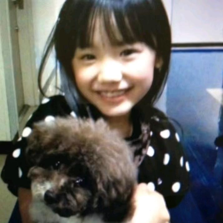 狗不会说人话人会狗叫这是否公平