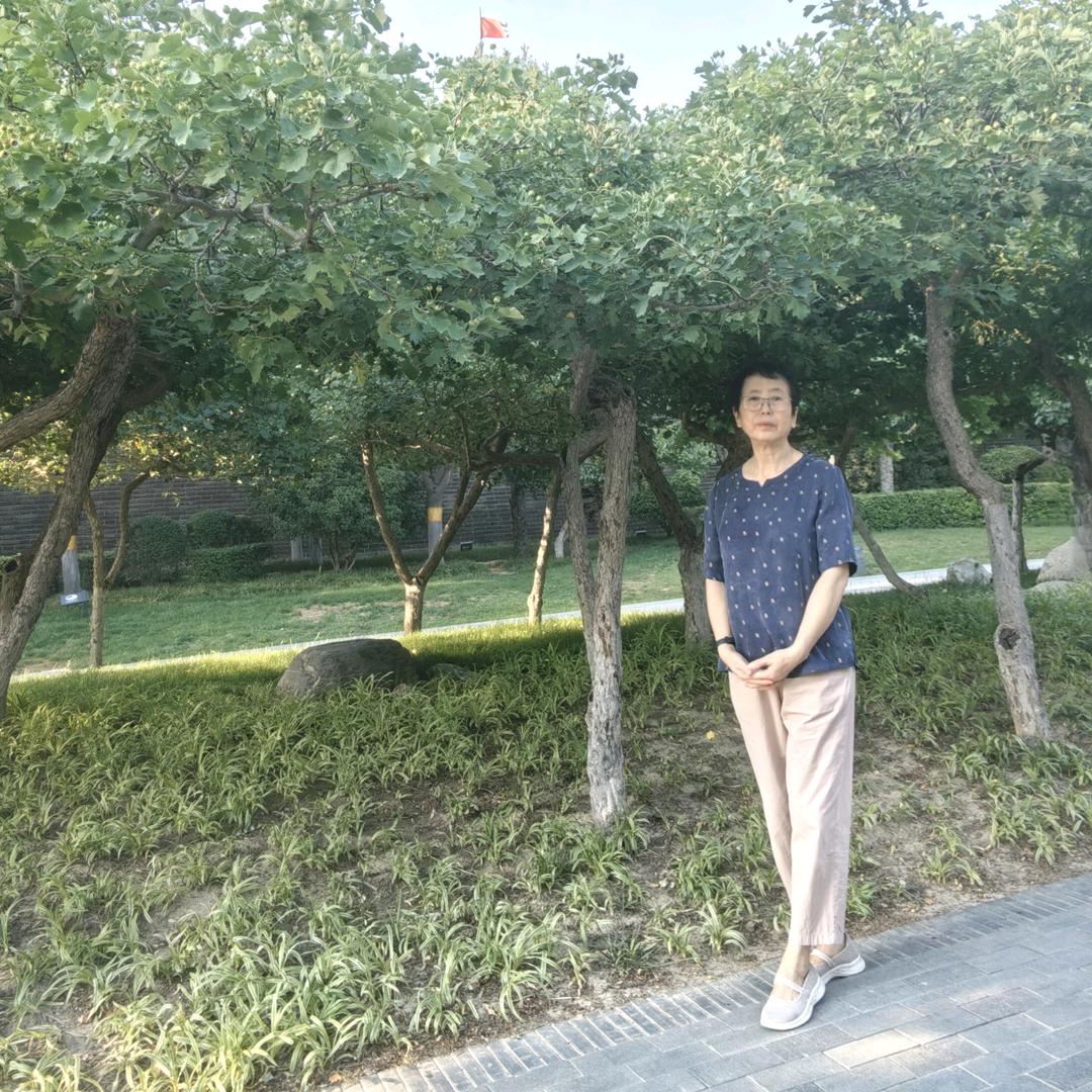 赵小洁