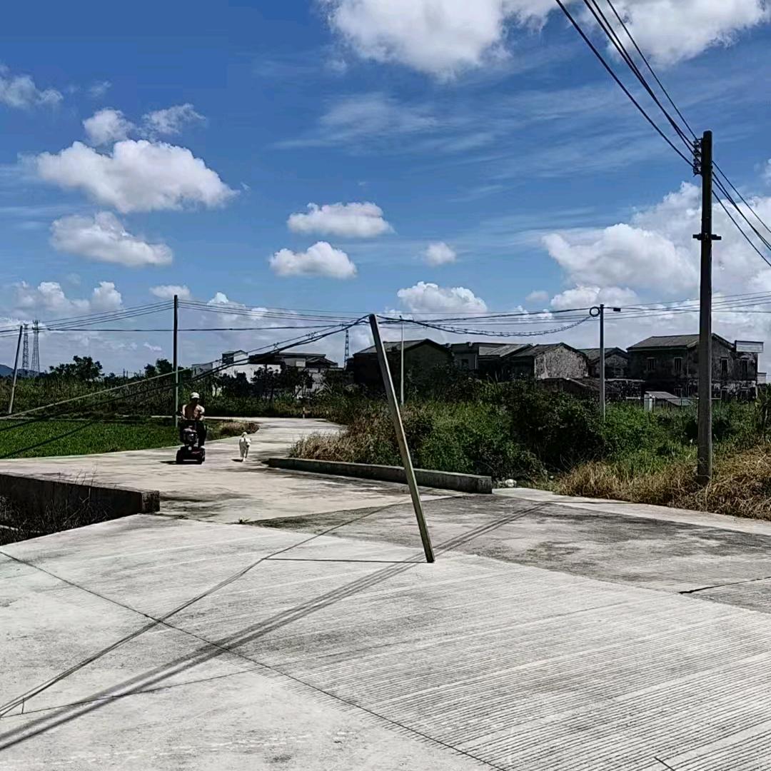 《难忘的岁月》