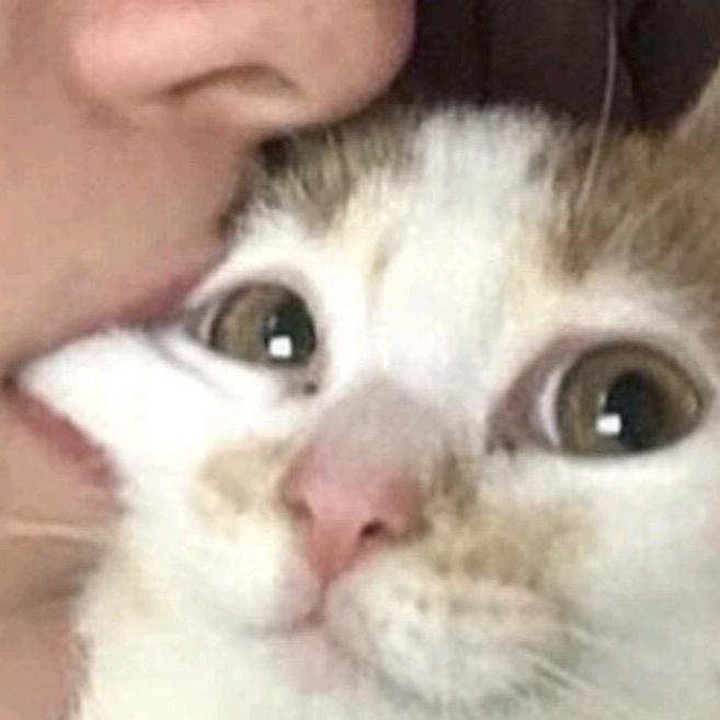 热心市民柳长河