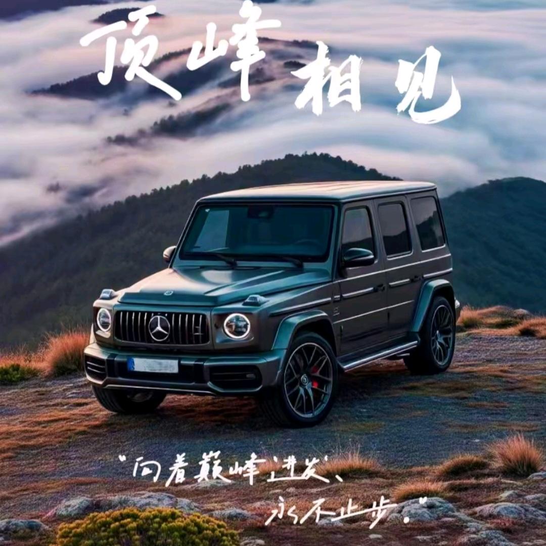 顶峰相见