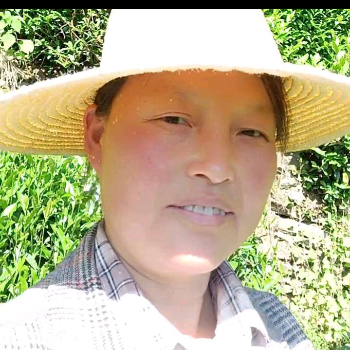 安安姐：早上5：10分开播