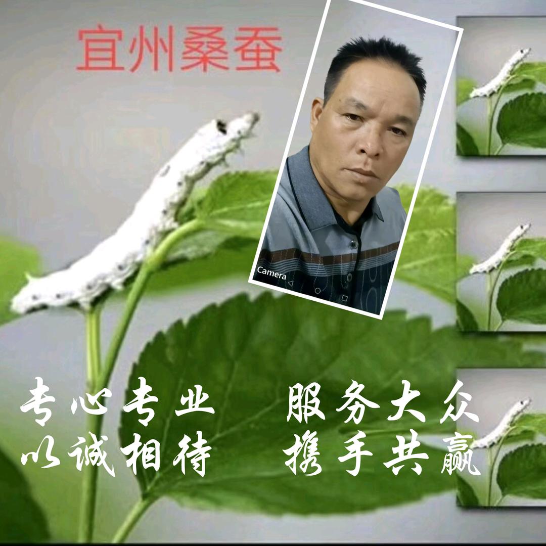 德华农场（宜州桑蚕）