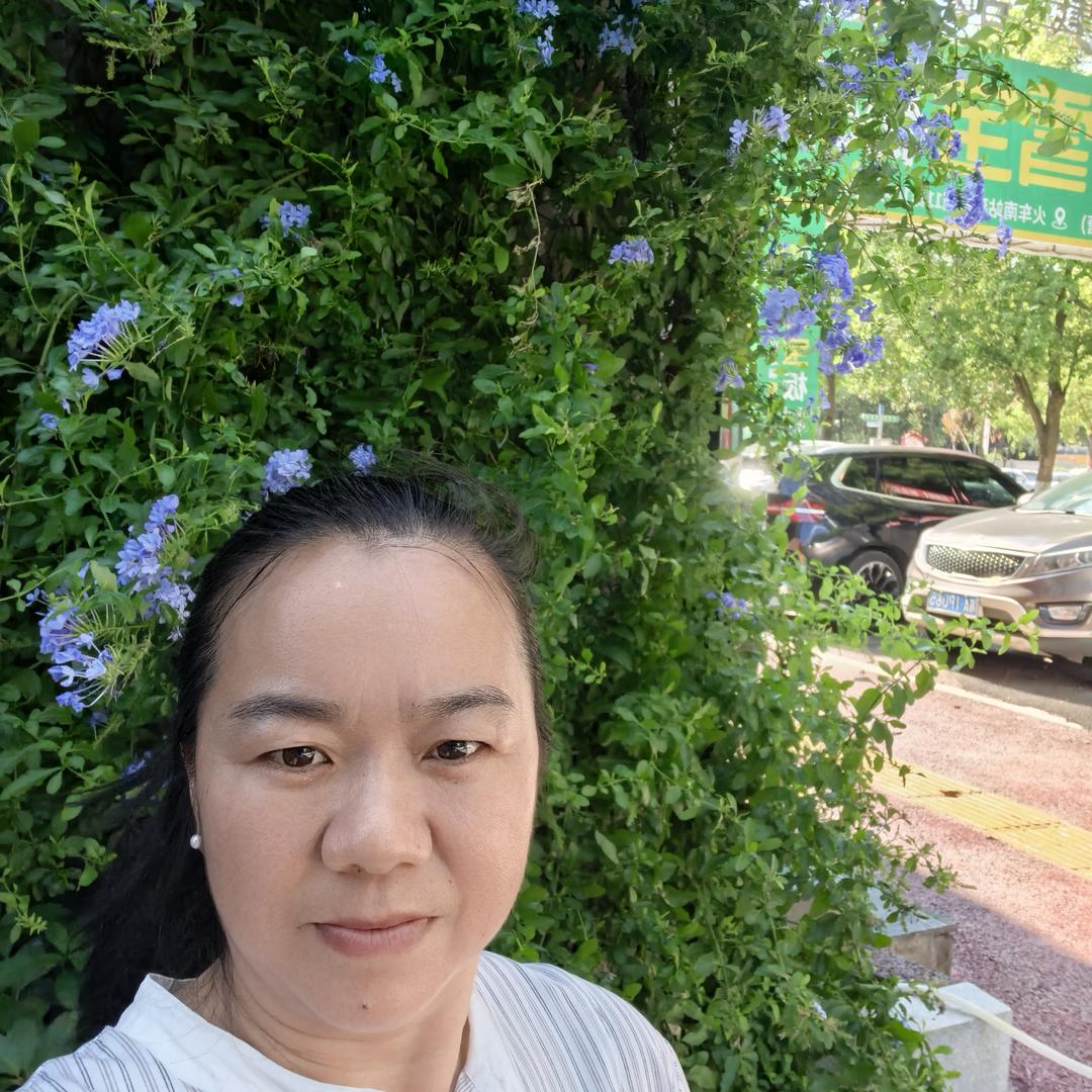 美的家电杨琳