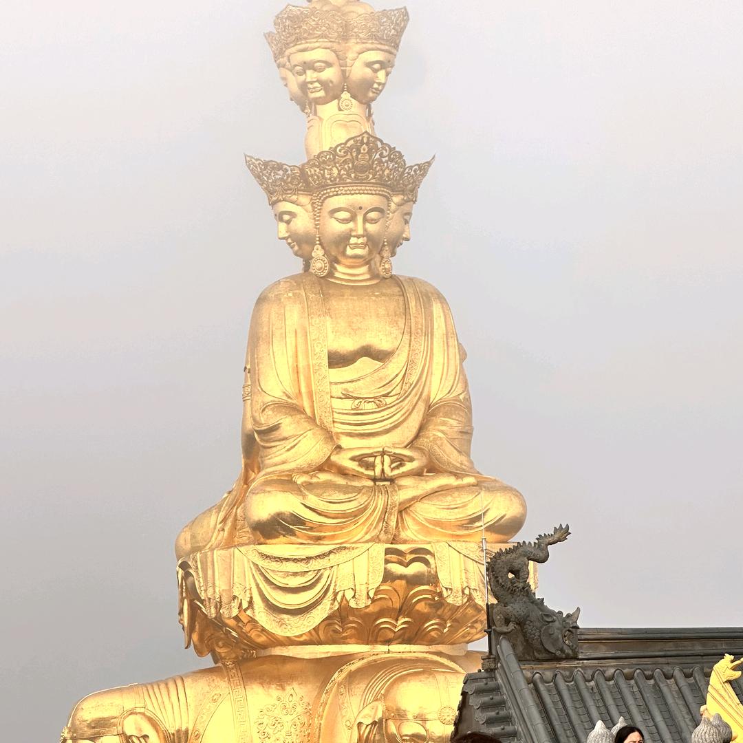 诗善