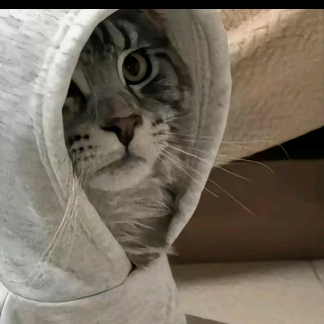 秋风冷