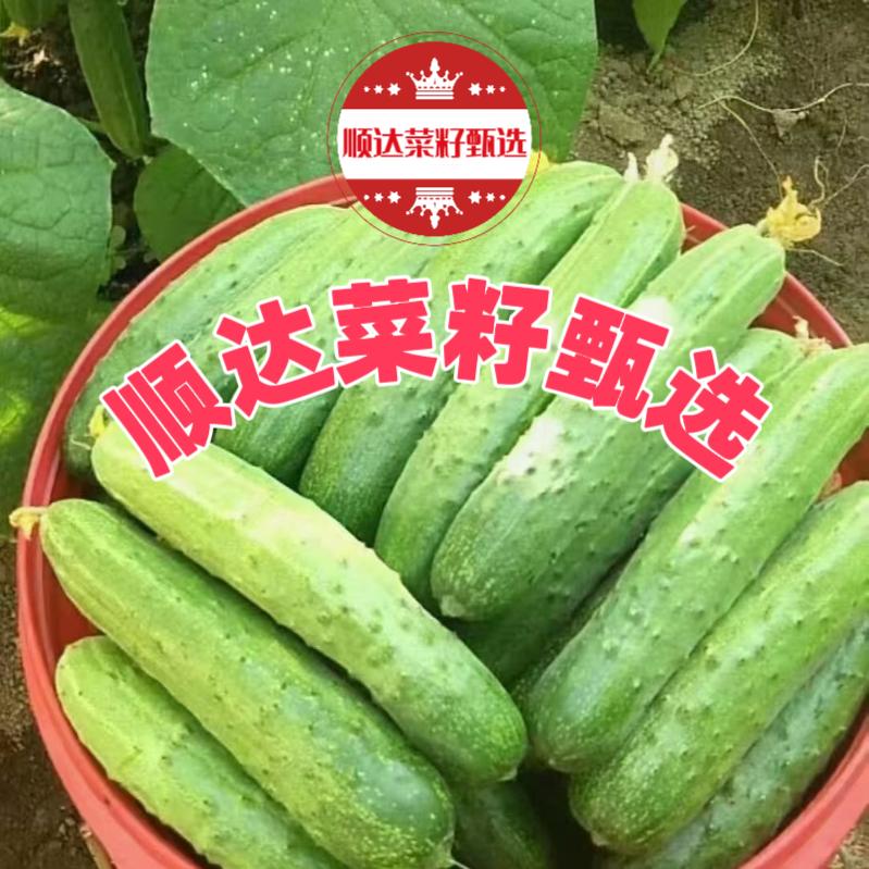顺达菜籽甄选