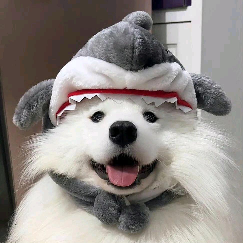 【定制球鞋】