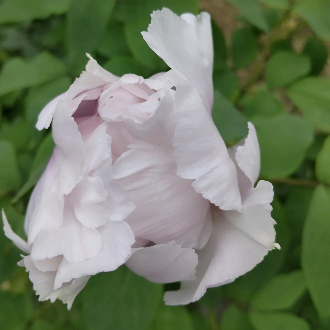 等风来