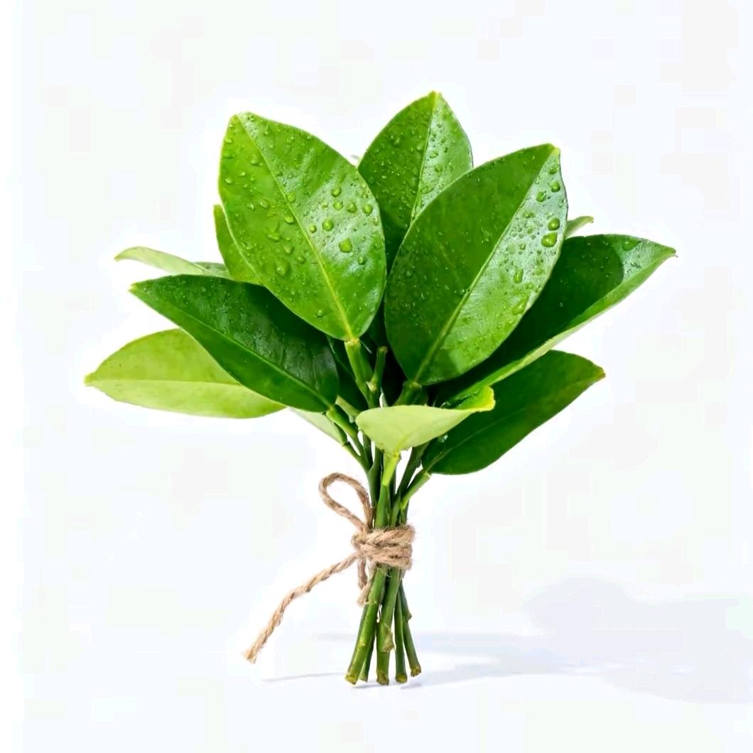 爱情只会让人变愚蠢