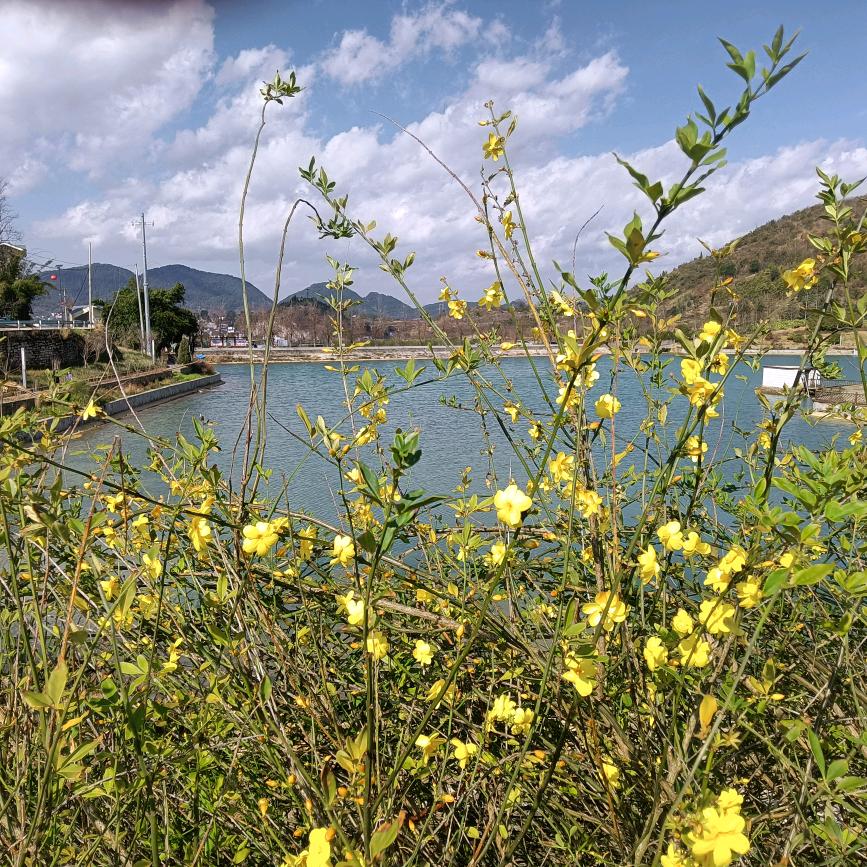 孤寂一生