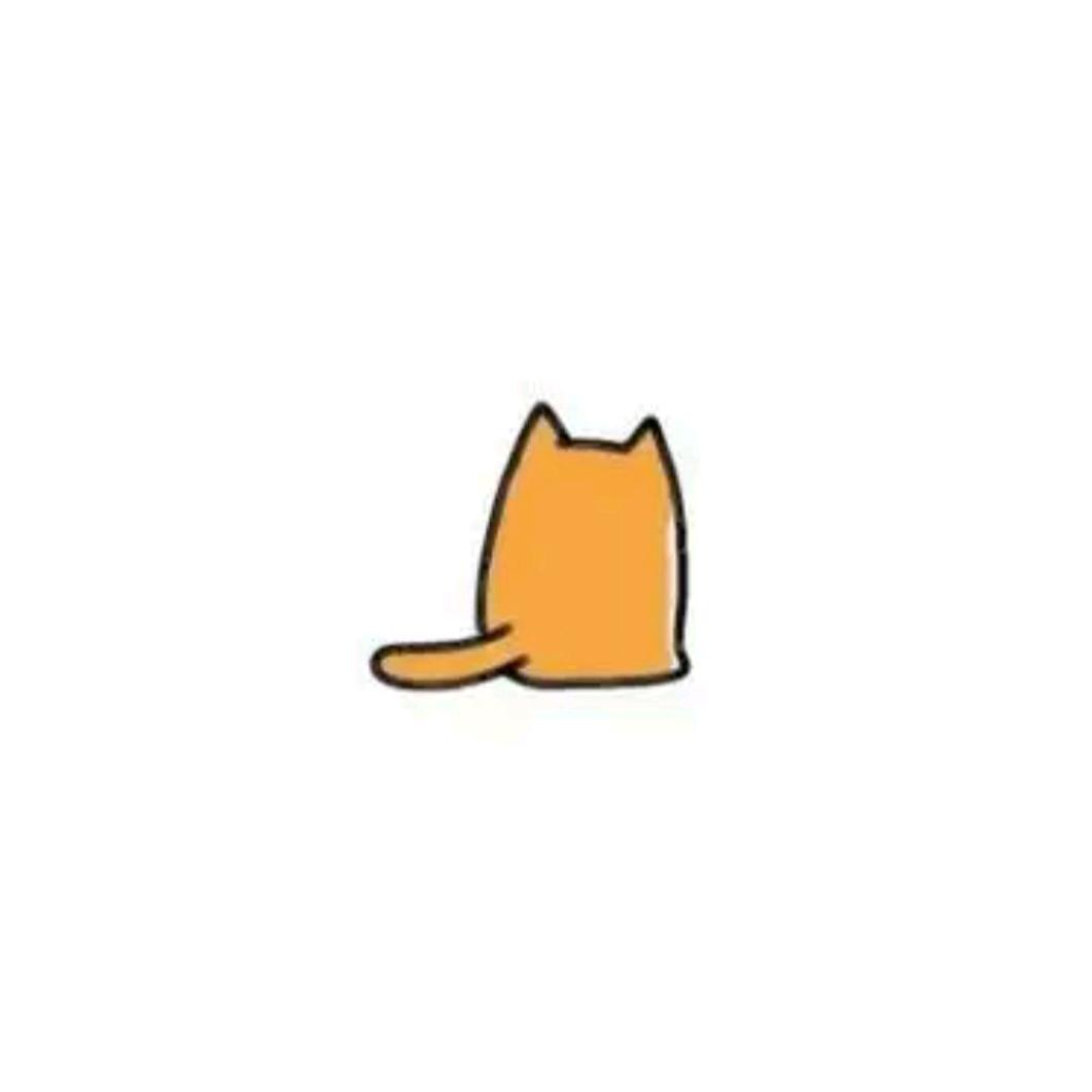 江悦家的小🐱