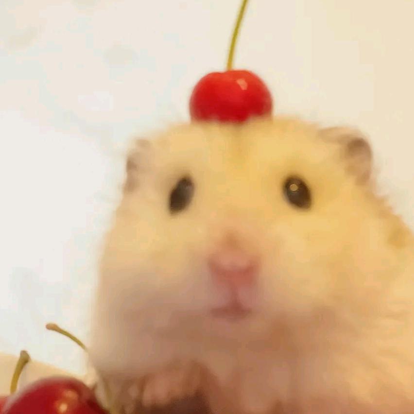 锂离子